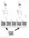 Fig. 03 - Method to synthesize a cross bar switch in a highly congested environment