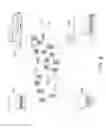 Fig. 09 - Electroencephalography (EEG) based authentication