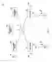 Fig. 02 - FILE ENCRYPTING APPARATUS, FILE DECRYPTING APPARATUS, SYSTEM AND PROGRAM
