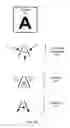 Fig. 07 - Inferring stroke information from an image