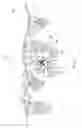 Fig. 08 - Head Mounted Display