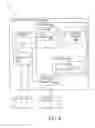 Fig. 05 - Image processing to identify selected individuals in a field of view