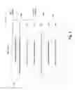 Fig. 03 - Incremental update of a neighbor graph via an orthogonal transform based indexing