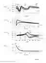 Fig. 06 - Simplification of neural models that include arborized projections