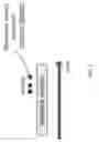 Fig. 03 - Entity resolution for the Internet of Things