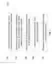 Fig. 02 - APPARATUS FOR PROCESSING A PURCHASE TRANSACTION