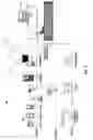 Fig. 06 - Biometric authentication for, and secure electronic tracking of, restricted over-the-counter drug sales