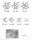 Fig. 33 - Information coding in dendritic structures and tags