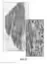 Fig. 09 - Devices, systems and methods for automated quantitative scoring of digitized tissue images