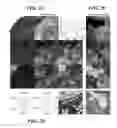 Fig. 06 - Molecular imaging biomarkers