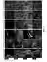 Fig. 10 - Molecular imaging biomarkers