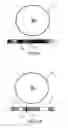 Fig. 03 - Method for characterizing images acquired through a video medical device