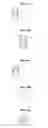 Fig. 07 - Device and method for digital painting