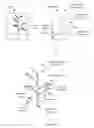 Fig. 02 - System and method of virtual plant field modelling