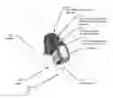 Fig. 01 - Surgeon head-mounted display apparatuses