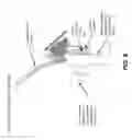Fig. 08 - Surgeon head-mounted display apparatuses