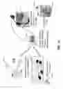 Fig. 13 - Surgeon head-mounted display apparatuses