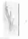 Fig. 05 - AUTONOMOUSLY OPERATED DIRIGIBLE