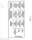 Fig. 08 - Central executive training platform