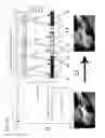 Fig. 03 - Image pixel fill factor for example in a software configurable lighting device