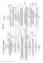 Fig. 20 - INFORMATION PROCESSOR AND INFORMATION PROCESSING METHOD