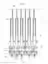 Fig. 05 - Keyboard apparatus and frame