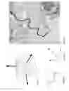 Fig. 28 - Sound synthesis for data sonification employing a human auditory perception eigenfunction model in Hilbert space