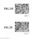 Fig. 04 - Magnetic recording medium having magnetic layer with a granular structure