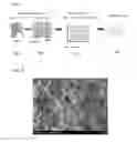 Fig. 02 - Magnetic material and preparation method thereof