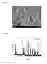 Fig. 04 - Magnetic material and preparation method thereof