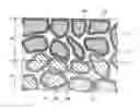 Fig. 01 - R-T-B based sintered magnet