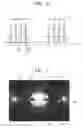 Fig. 06 - Plasma generating unit and substrate treating apparatus comprising the same