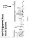 Fig. 32 - Implementation of Continuous Wave Carbon Dioxide Infrared Laser on a Quadrupole-Orbitrap-Linear Ion Trap Hybrid Mass Spectrometer System