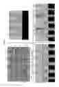 Fig. 09 - Forming self-aligned vias and air-gaps in semiconductor fabrication