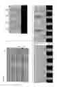 Fig. 10 - Forming self-aligned vias and air-gaps in semiconductor fabrication