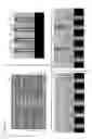 Fig. 12 - Forming self-aligned vias and air-gaps in semiconductor fabrication