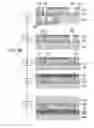 Fig. 05 - Technological method for preventing, by means of buried etch stop layers, the creation of vertical/lateral inhomogeneities when etching through-silicon vias