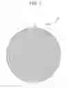 Fig. 07 - Vacuum suction pad and substrate holder