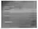Fig. 01 - Metal paste and thermoelectric module