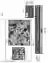 Fig. 05 - Crossbar resistive memory array with highly conductive copper/copper alloy electrodes and silver/silver alloys electrodes