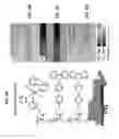 Fig. 07 - Photopatterned growth of electronically active brush polymers for light emitting diode displays