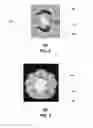 Fig. 03 - Radial antenna and methods for use therewith
