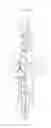 Fig. 02 - Spark plug