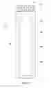Fig. 04 - Single cell battery charger