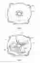 Fig. 07 - Brushed DC motor and manufacturing method thereof