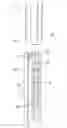 Fig. 01 - Apparatus and method of generating energy from renewable energy sources