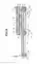 Fig. 10 - Vibration wave motor and optical device
