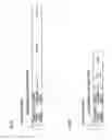 Fig. 03 - Wireless communication device and wireless communication system using the same