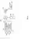 Fig. 09 - Chassis-based cryptographic affinities