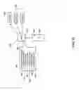 Fig. 11 - Chassis-based cryptographic affinities